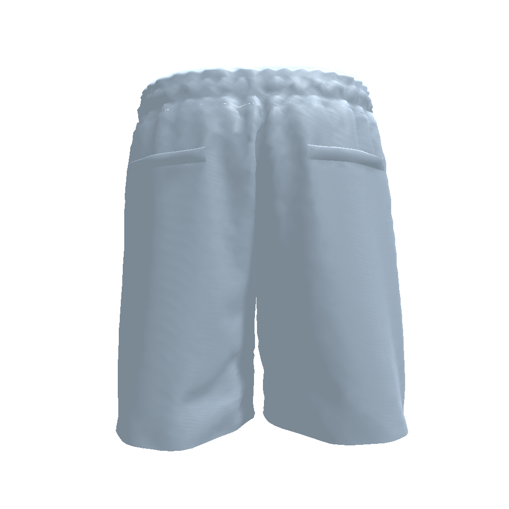 Logo Shorts